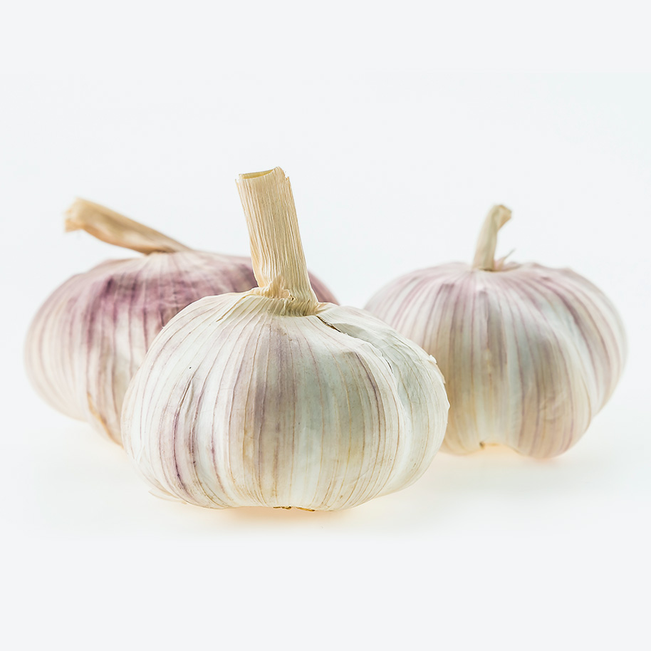 garlic