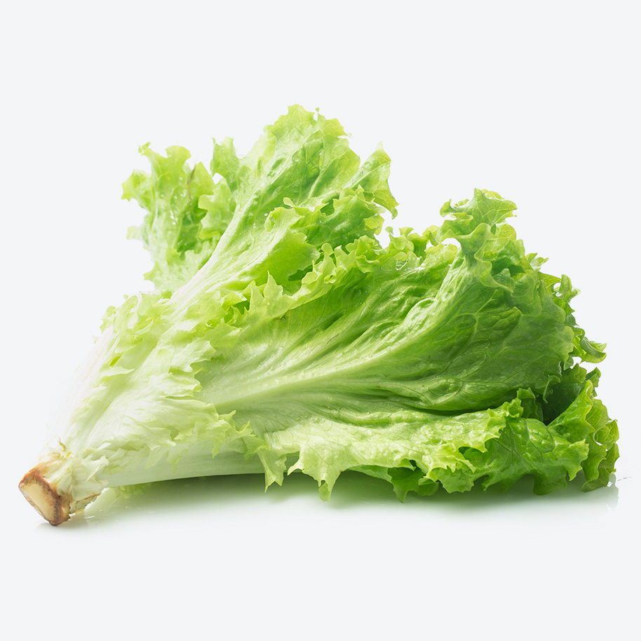 lettuce-leaves-01