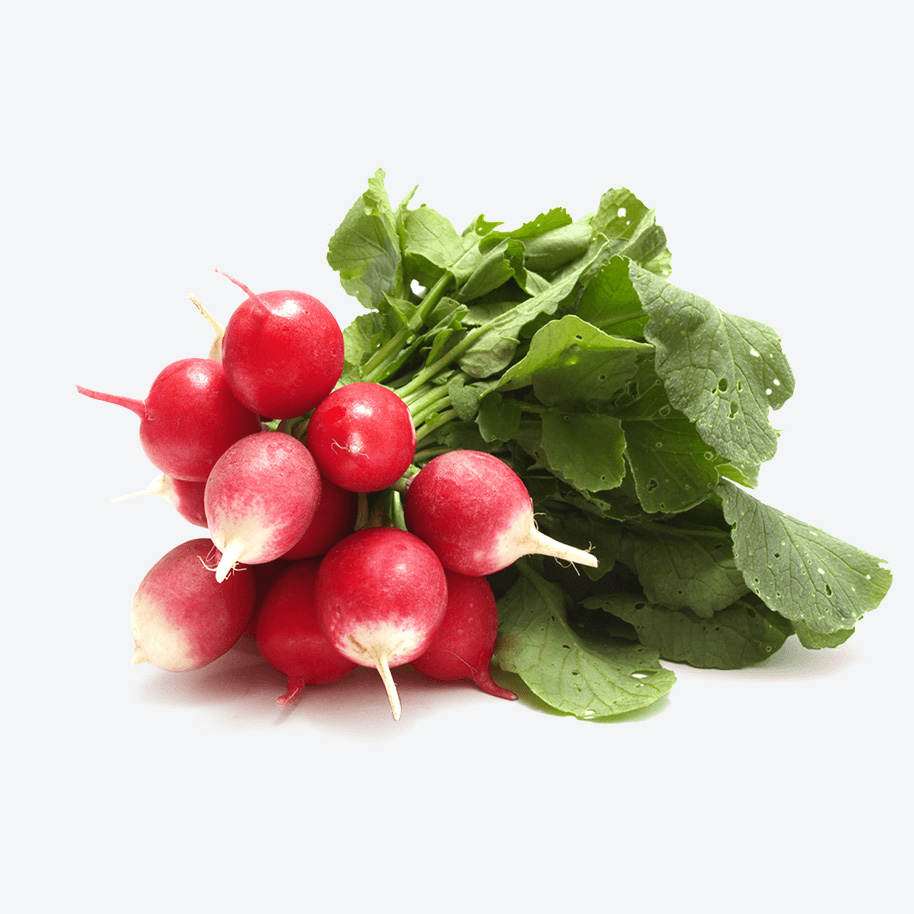 radish